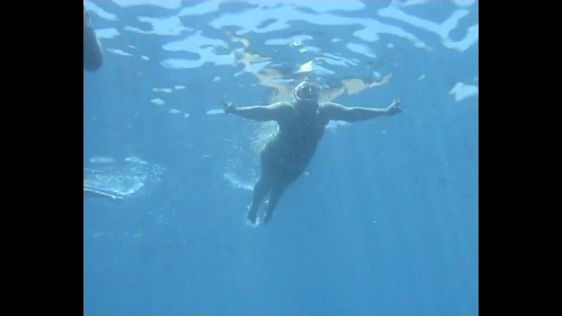 Египет. Шарм-эль-Шейх, август 2014)