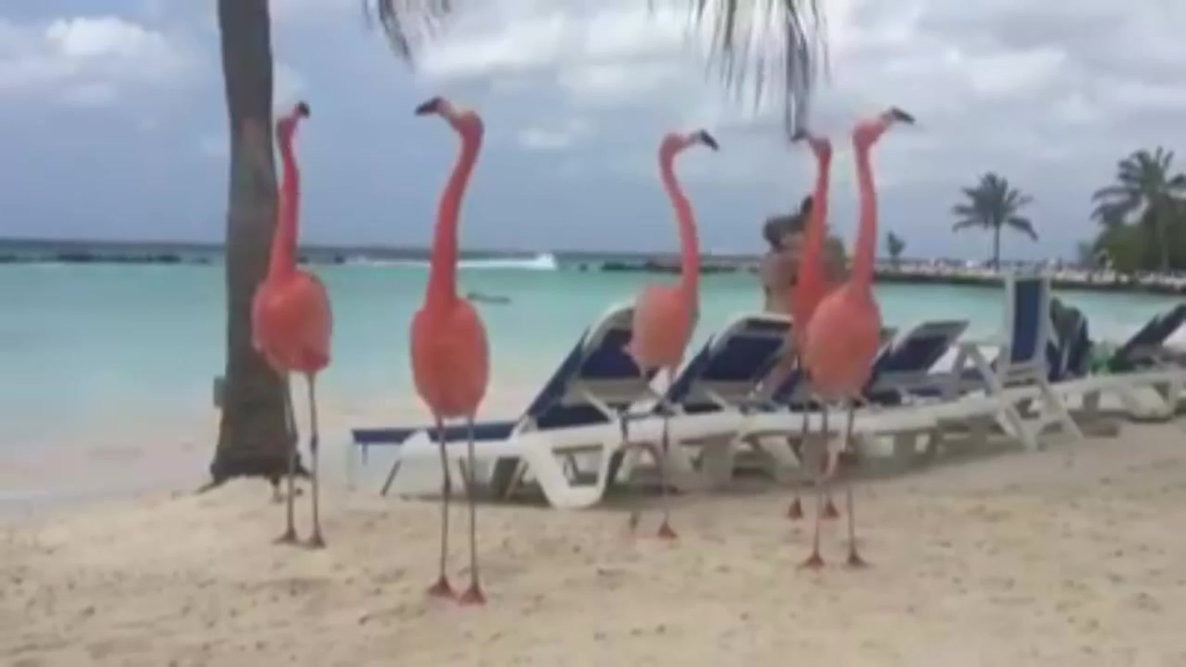 Моя Доминикана)))