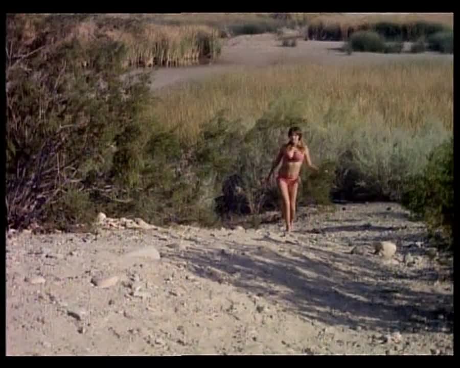 ФЭНТЭЗИ - ТРЭШ - ХОРРОР