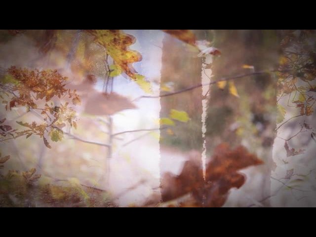 Побережье. Туапсе. Район.