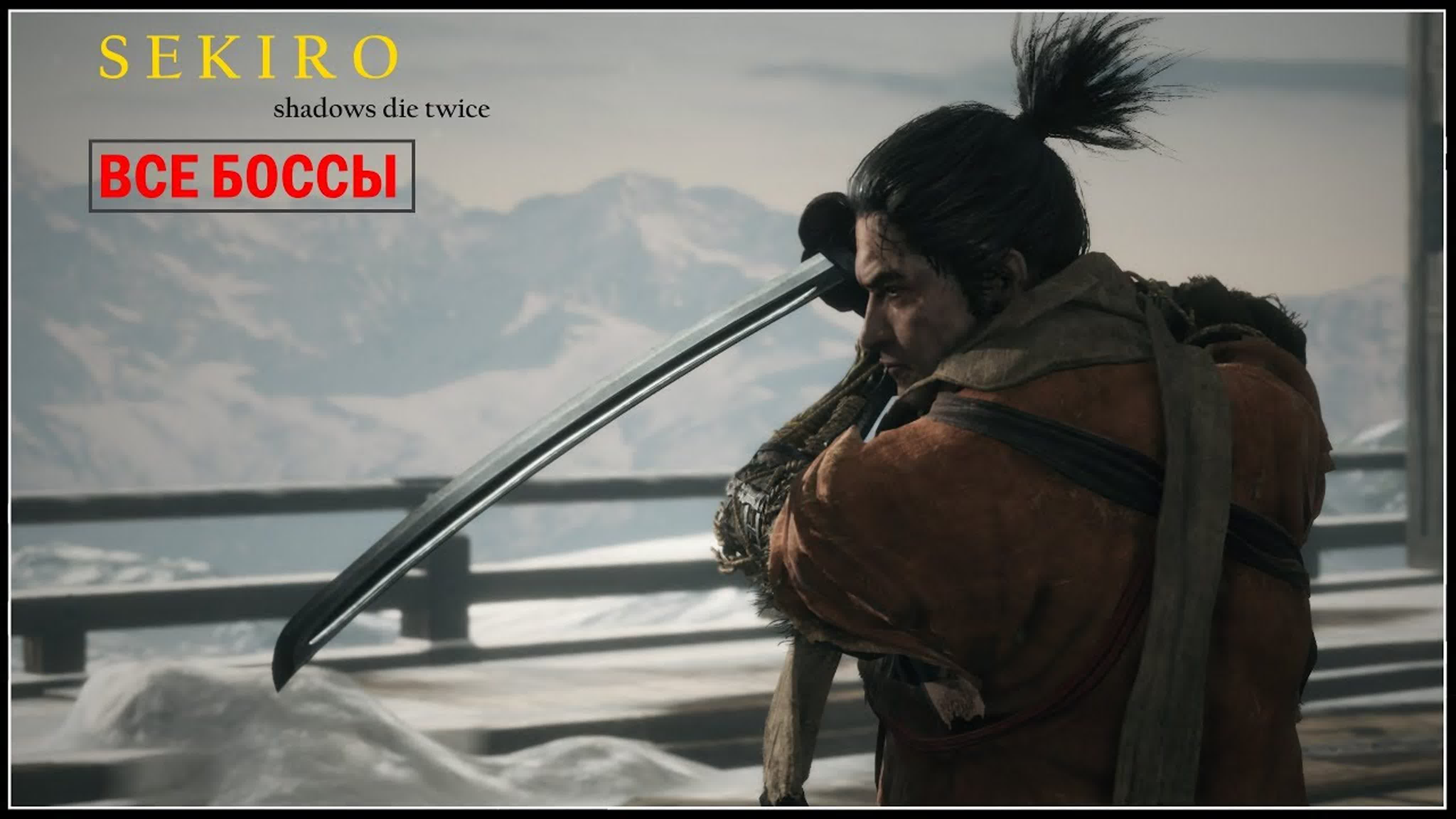 Sekiro Shadows Die Twice. Разное