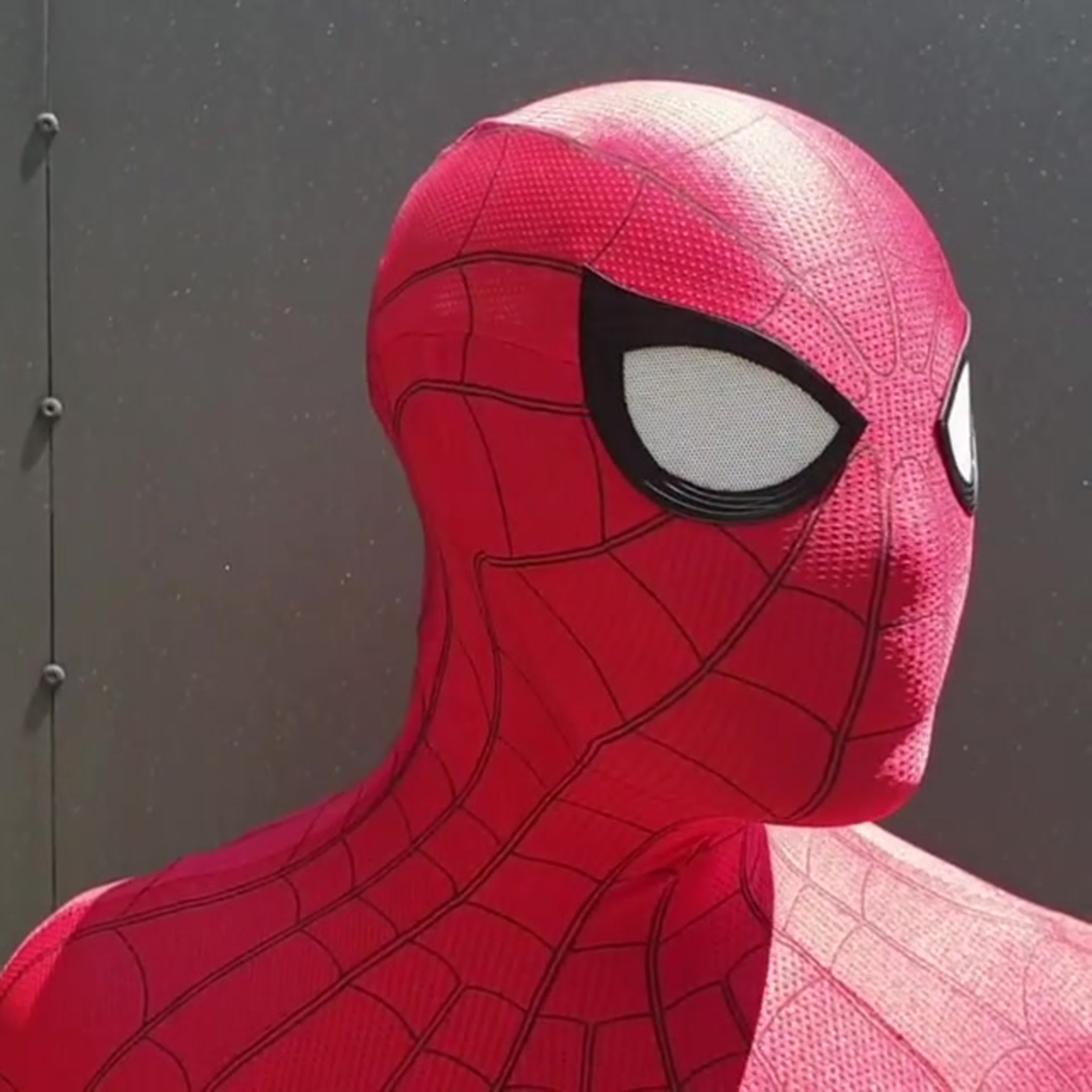 The Amazing Spider-Lab