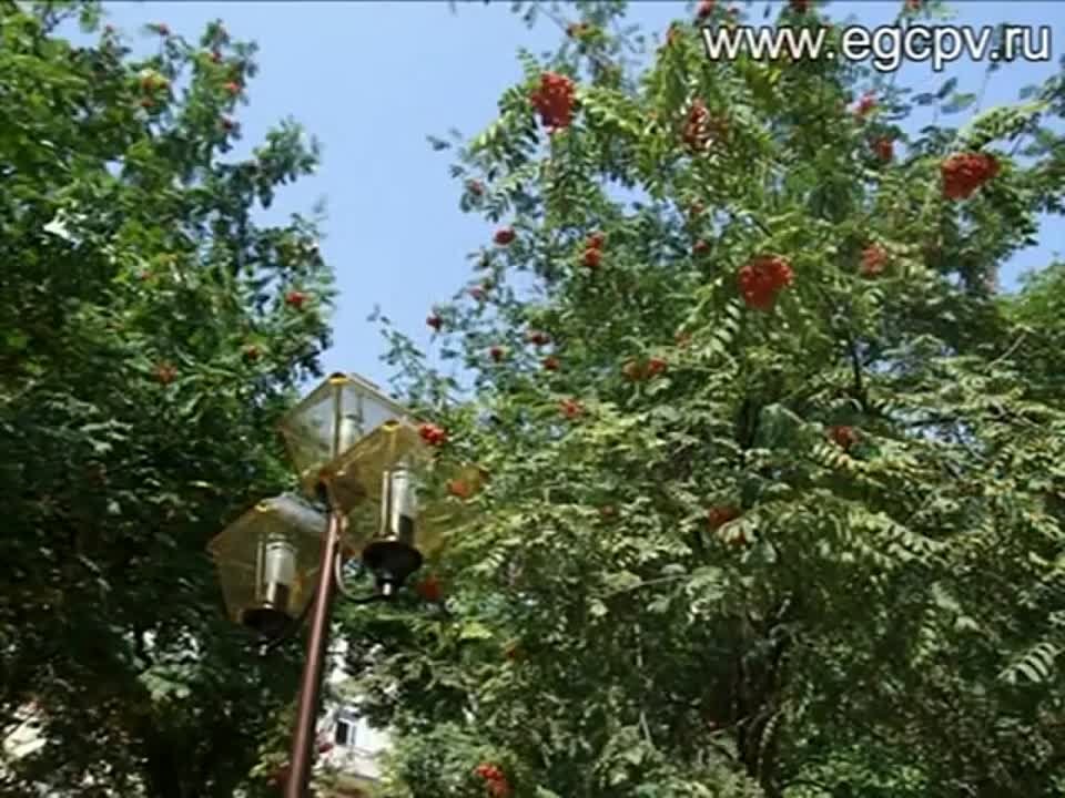 МОСКВА и вокруг