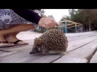 Бердянск.Средняя коса.Сан.Нефтехимик.май-июнь 2014г.