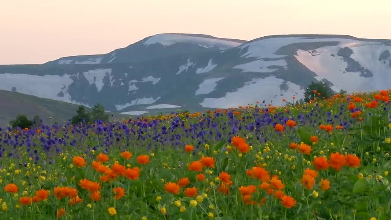 Россия матушка (регионы, достопримечательности)