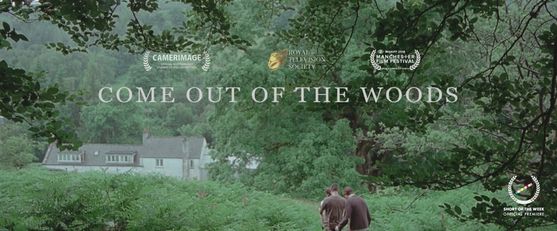 COME OUT OF THE WOODS, 2017