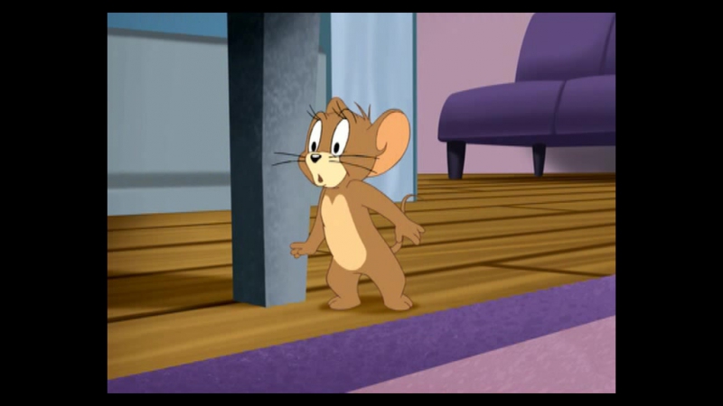 Povesti cu Tom si Jerry