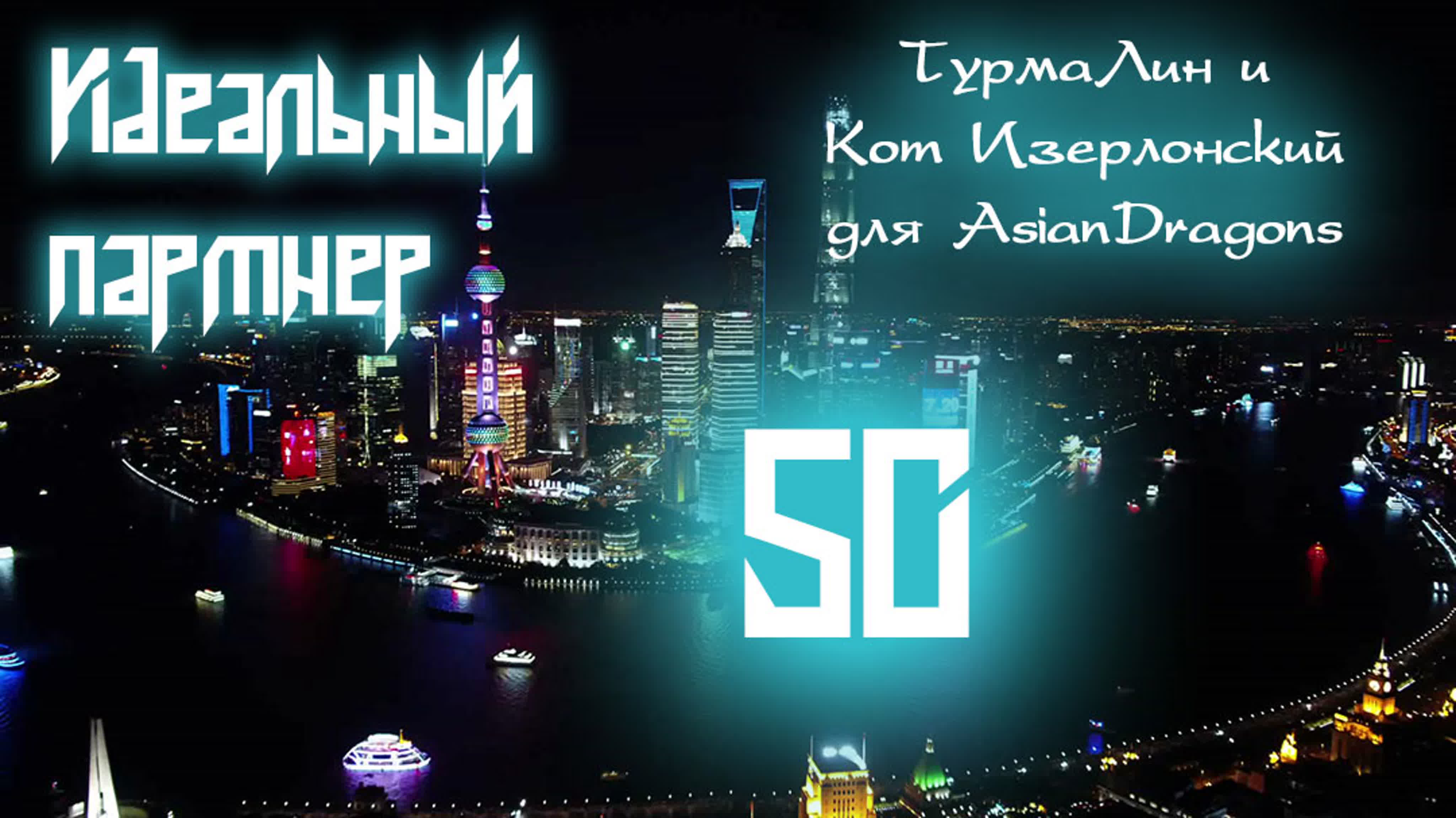 [2020] Идеальный партнёр