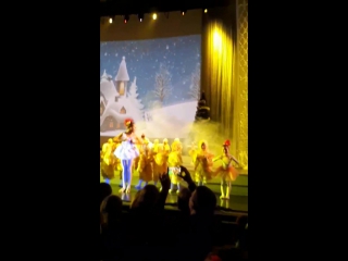 БКЗ "Новогодняя Ёлка" - 25.12.17