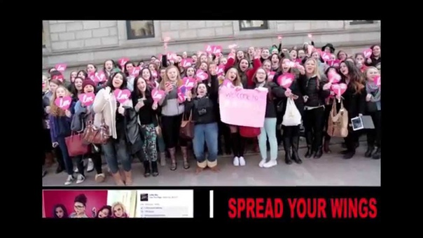 Little Mix - Salute Tour 2014