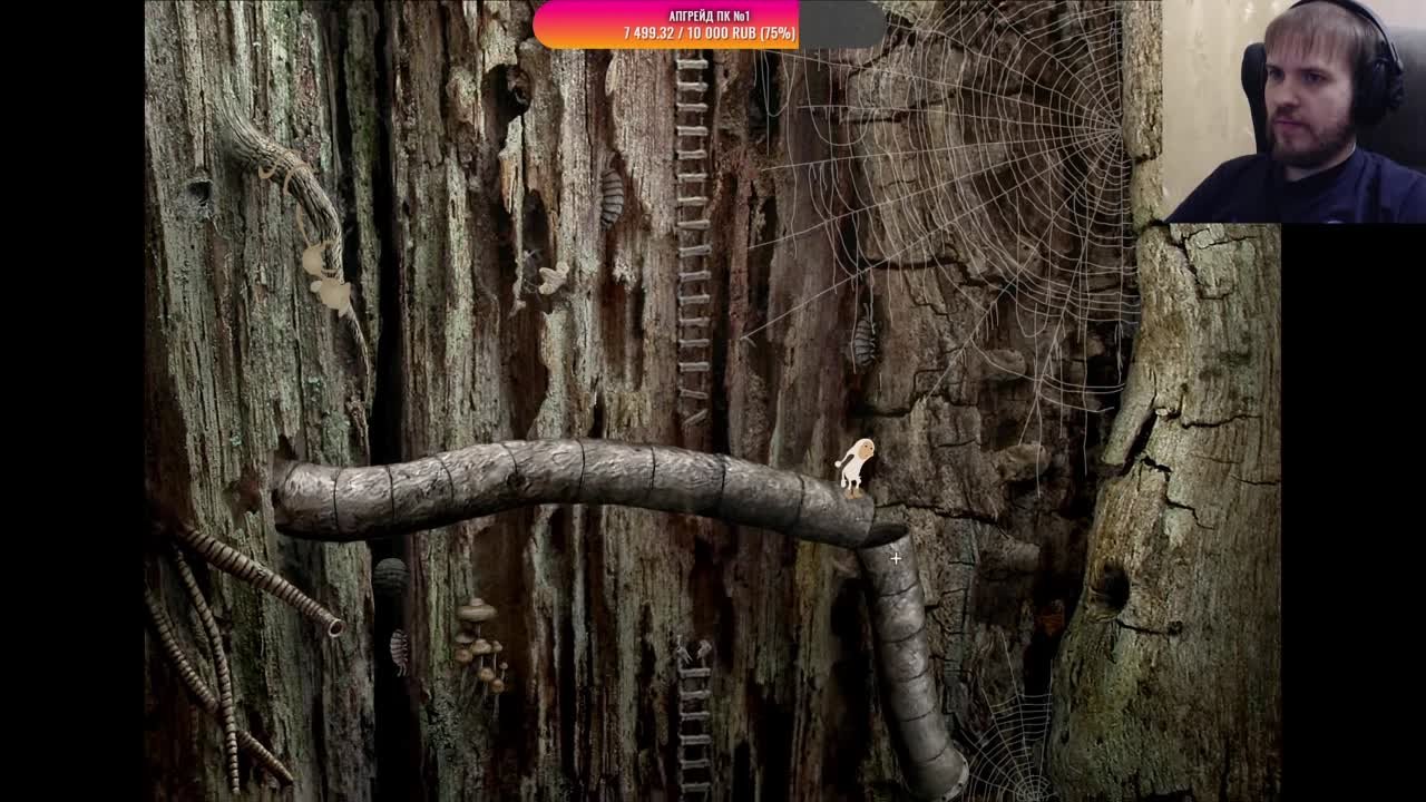Samorost 2 (100%)