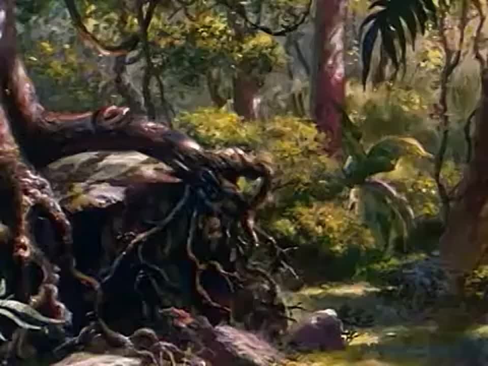 Чёрный пират