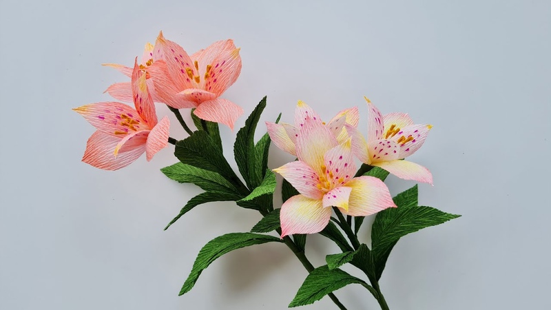 Альстромерия