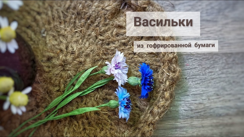 Васильки
