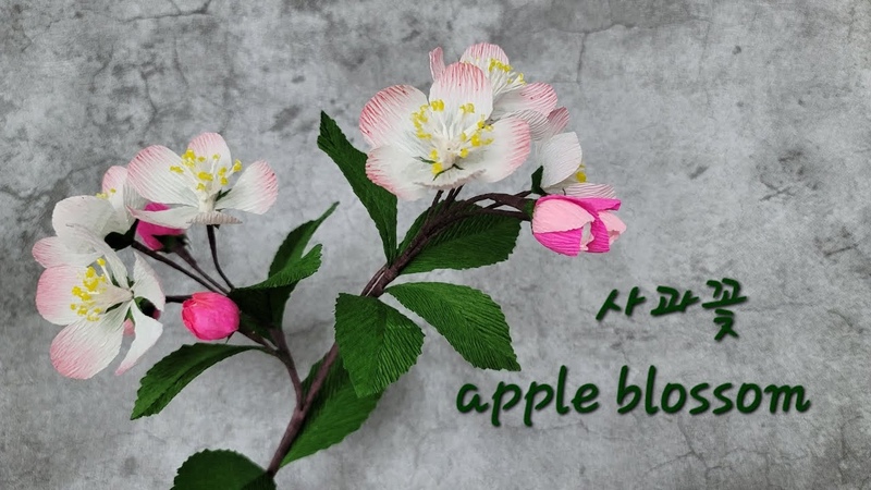 Вишня, яблоня, абрикос