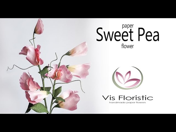 Душистый горошек