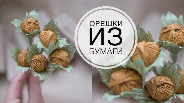 Лесные орешки