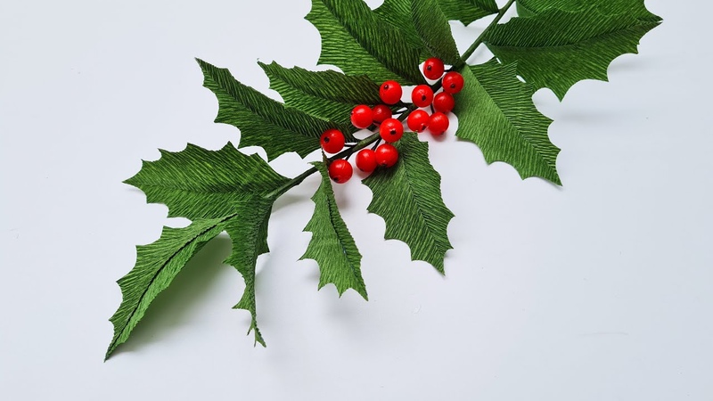 Остролист (Падуб)