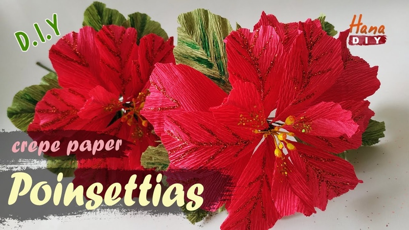 Пуансеттия