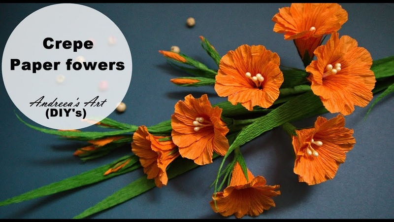 Разноцветье