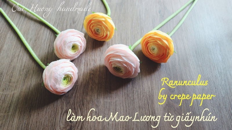 Ранункулюсы