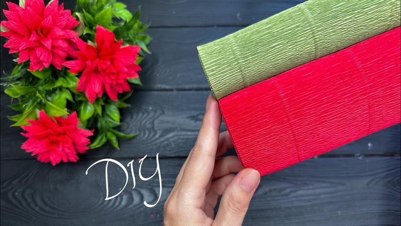 Хризантемы