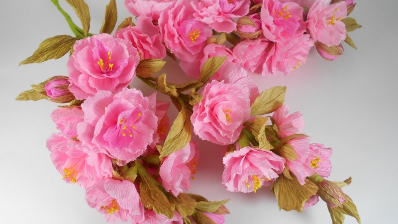 Елена Любоданская