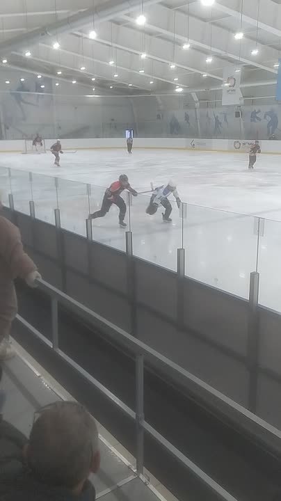 Благодать Арена 2023/2024