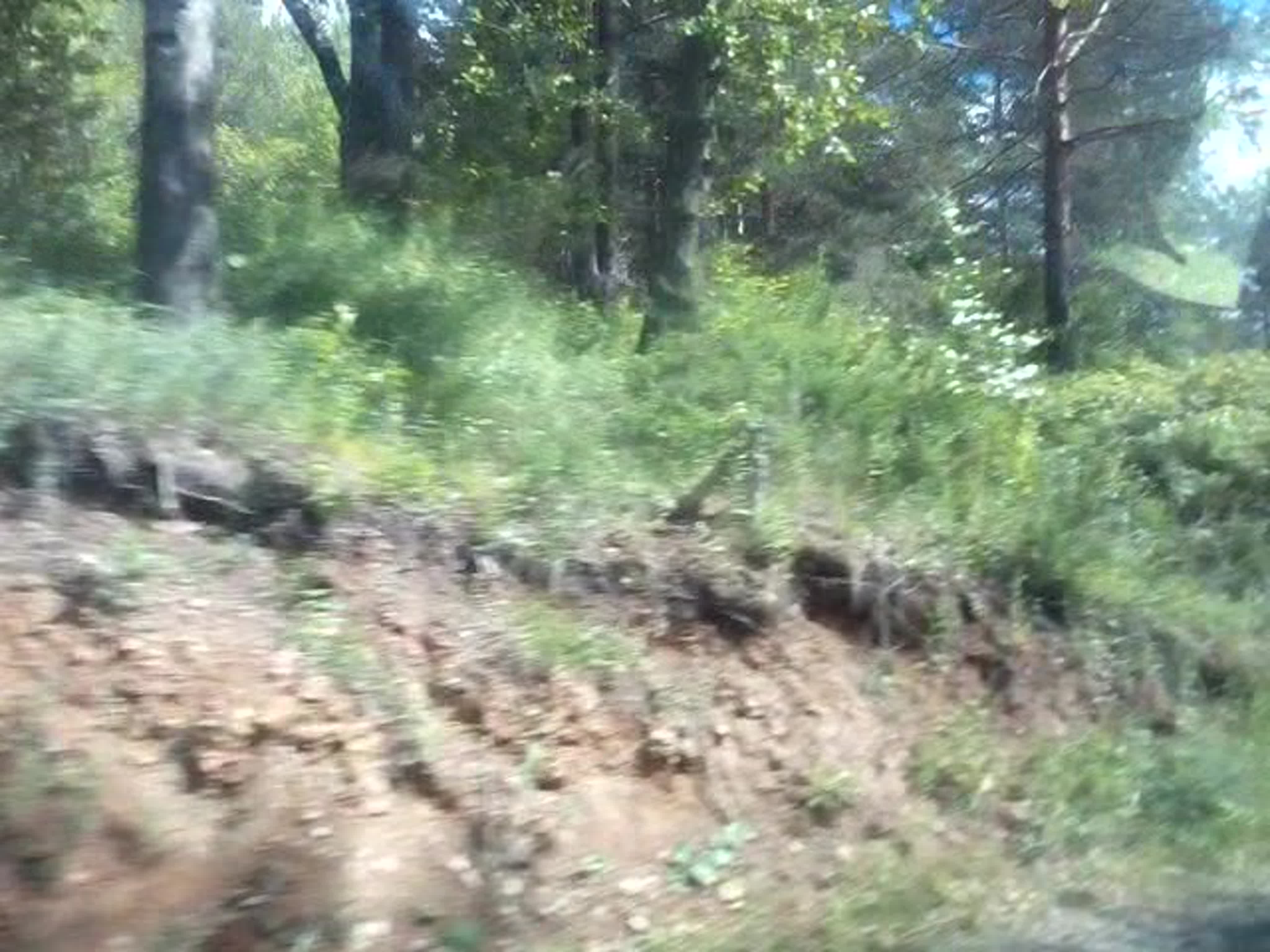 Гора Благодать Кушва 2020