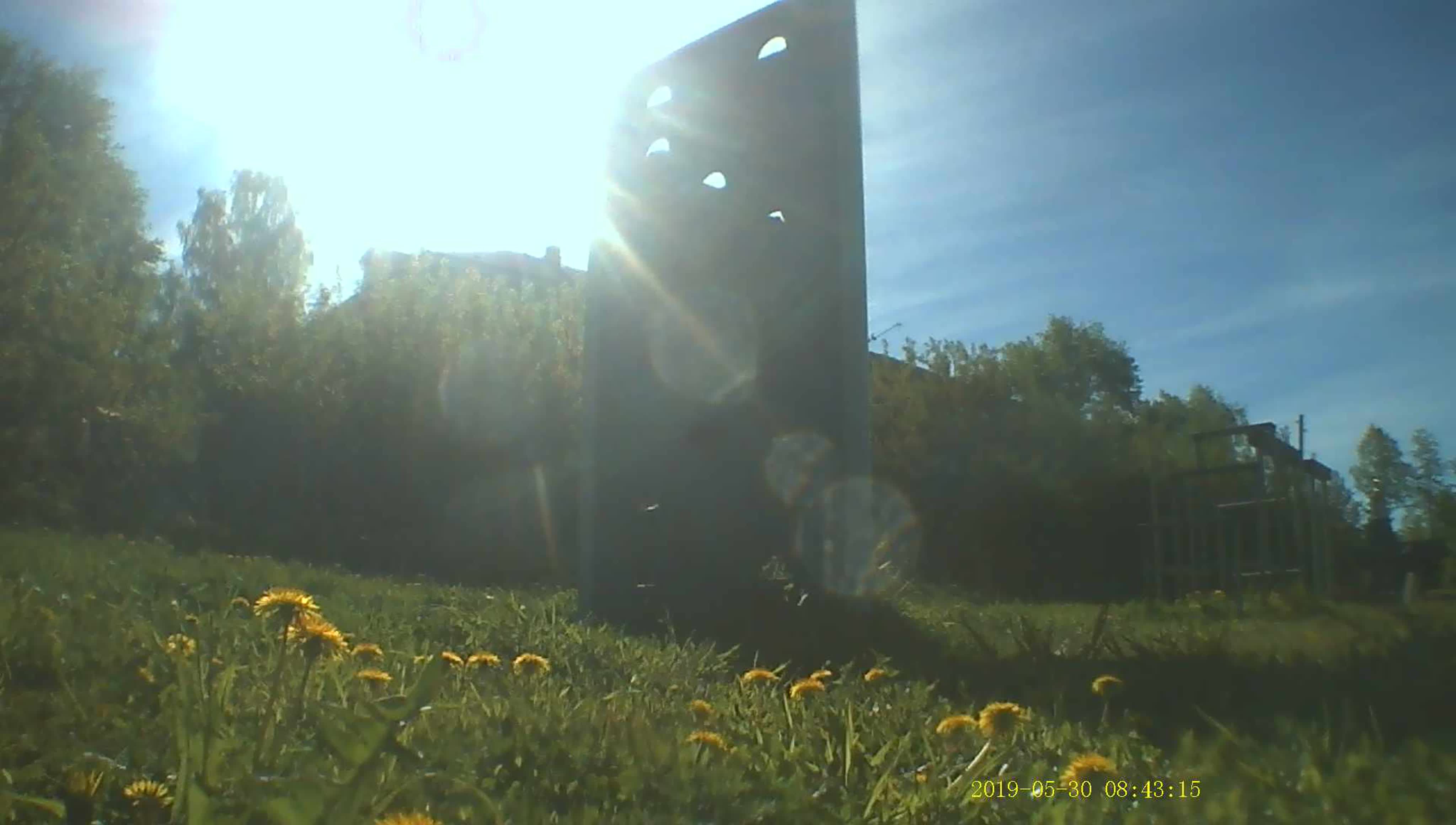 танцы,Спорт 2019_2020,2021