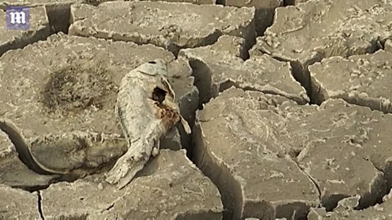 Всегда солнечно