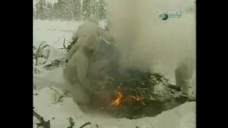 Рэй Мирс. Выживание.