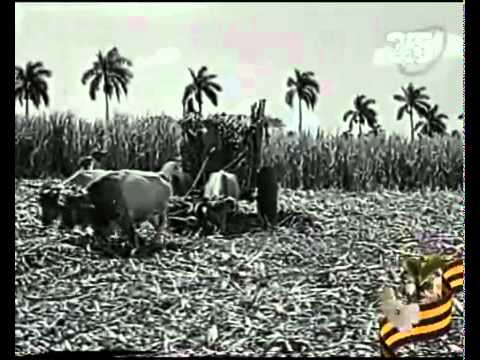 Кубинская революция