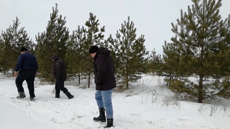 Покатушка 18.02.18