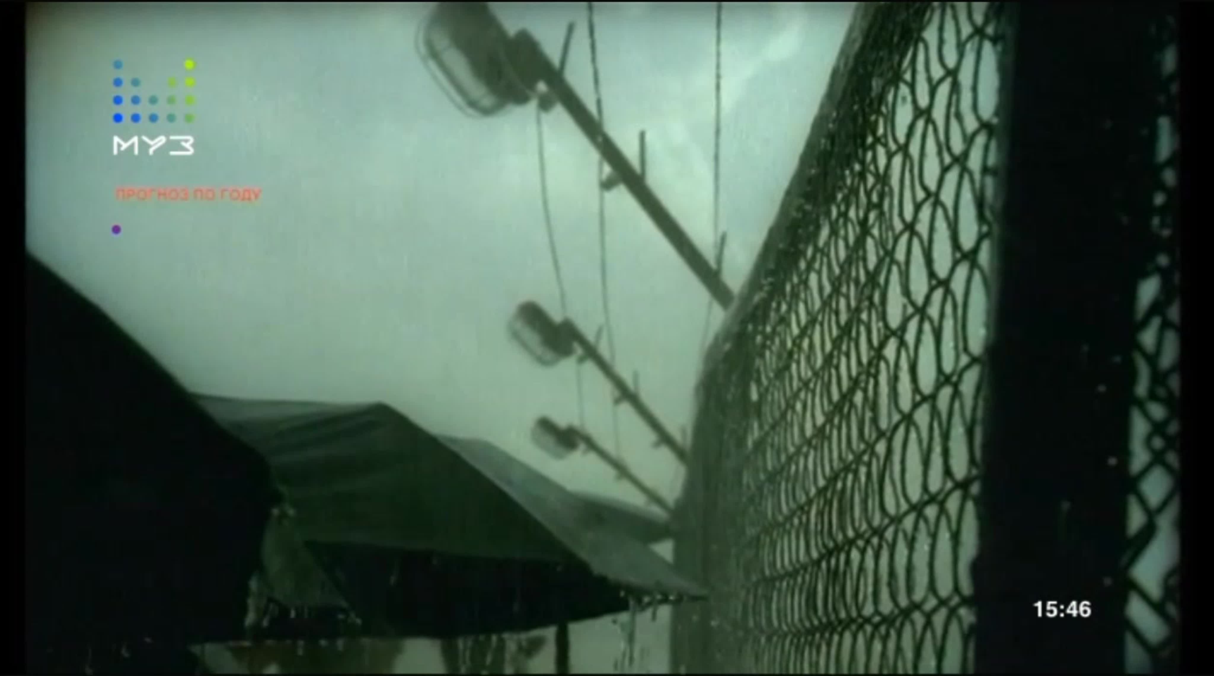 ПРОГНОЗ ПО ГОДУ ТАТУ