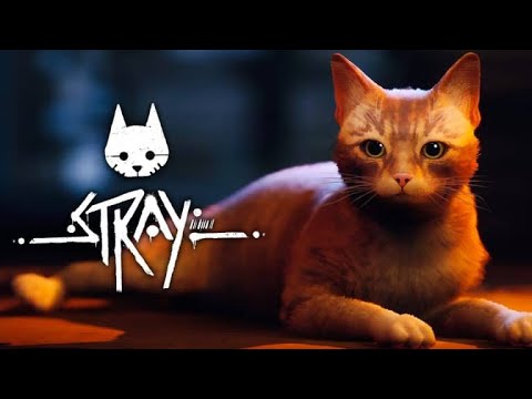 Stray