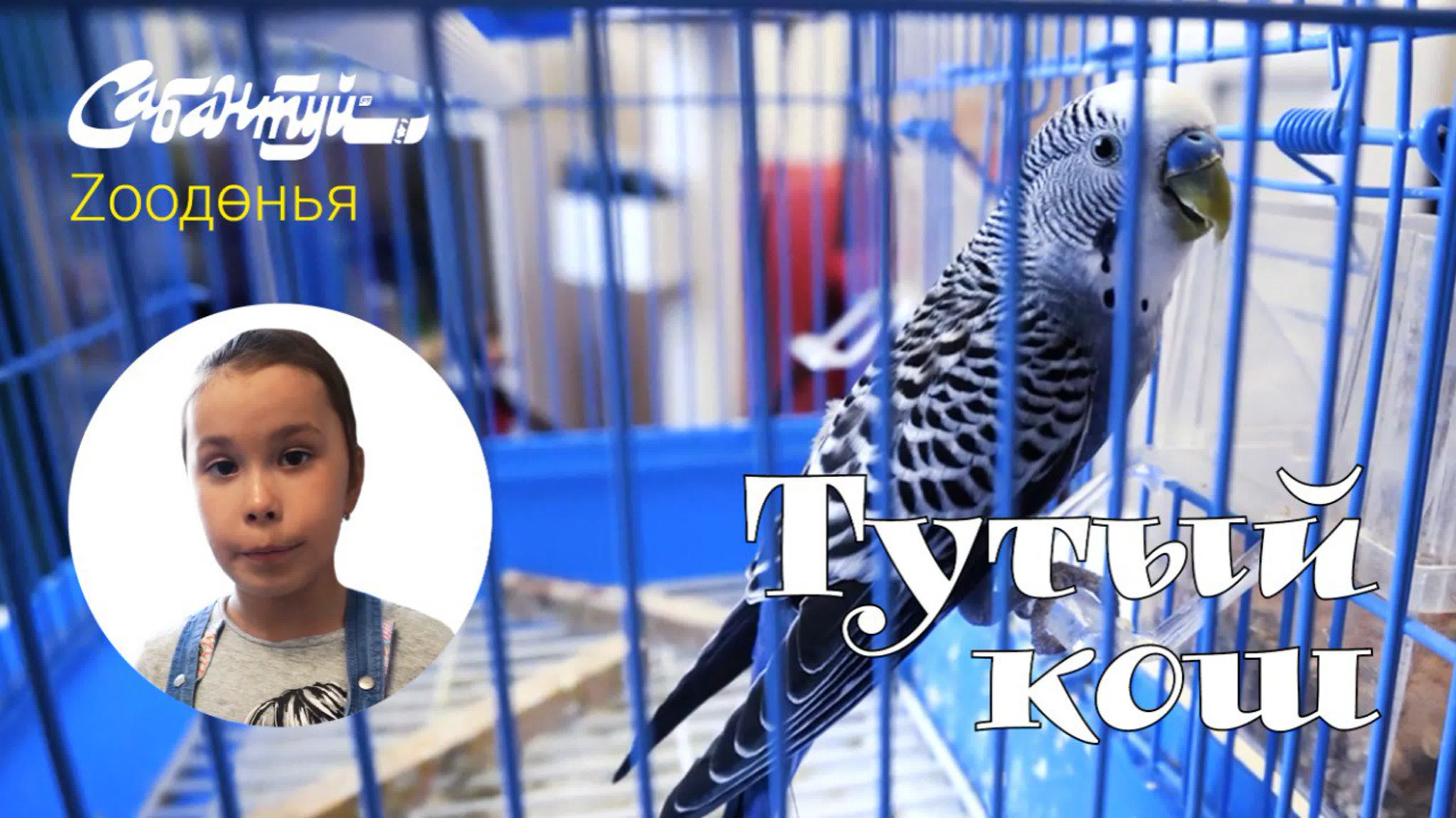 ZOOДӨНЬЯ | Сабантуй