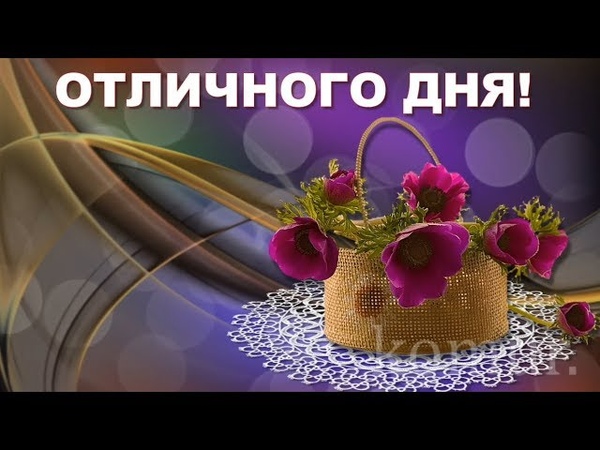 ДОБРЫЙ ДЕНЬ