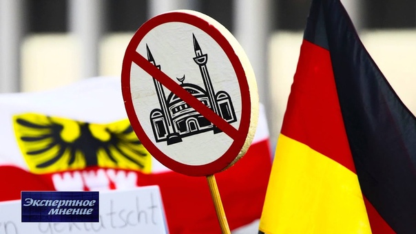 Экспертное мнение