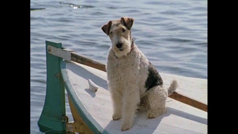 Алина Станиславовна Покровская  https://vk.com/biblioteka111?w=wall-77860306_3307%2Fall