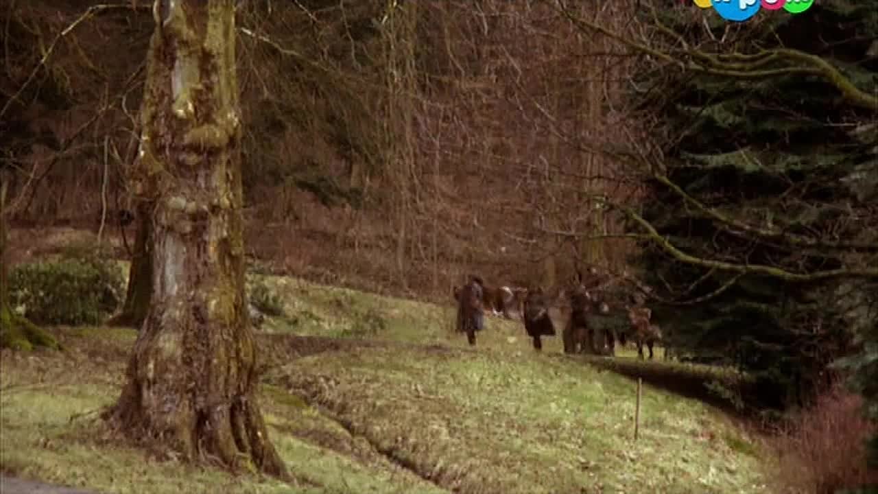 Братья Гримм   https://vk.com/club77860306?w=wall-77860306_873%2Fall