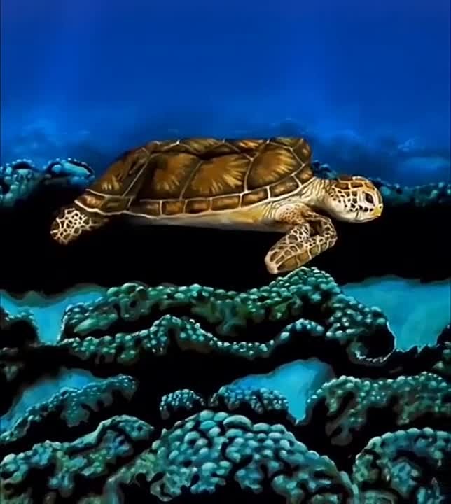 Mother Earth and Space Wind