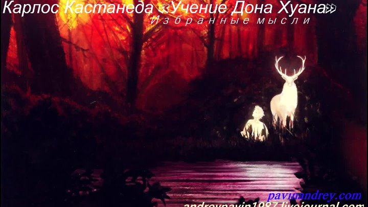 Карлос Кастанеда