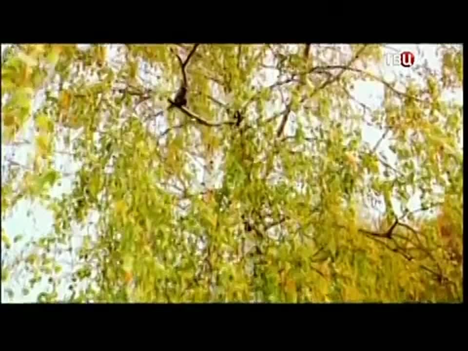 Михаил Задорнов