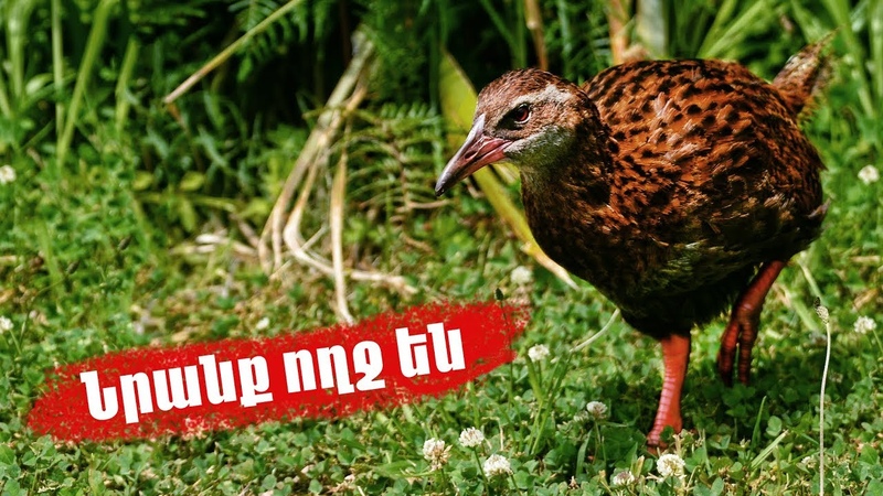 Новое из миров с Рубен Есаян