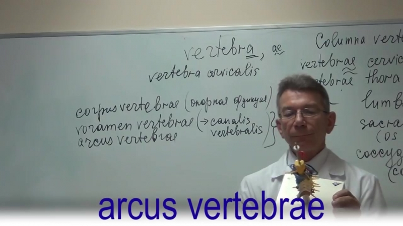 Профессор В.Изранов