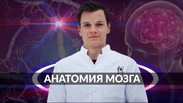 Умный Медик [УМ]