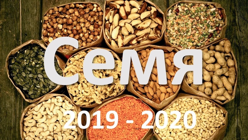 Lomonosov School & Петр Гамбарян