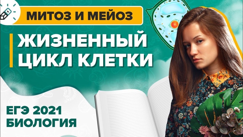 Биология | ЕГЭ 2022 | Турбоподготовка