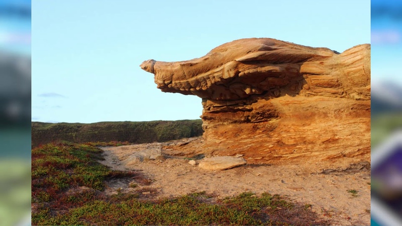 День рождения Мурманской области